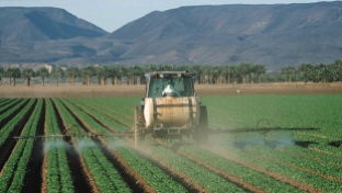 Pesticide residue: thousands of standards