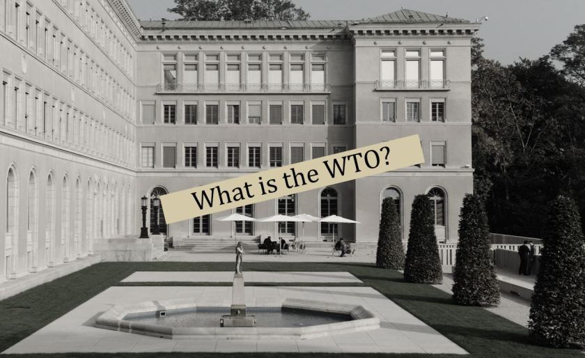 What is the WTO?