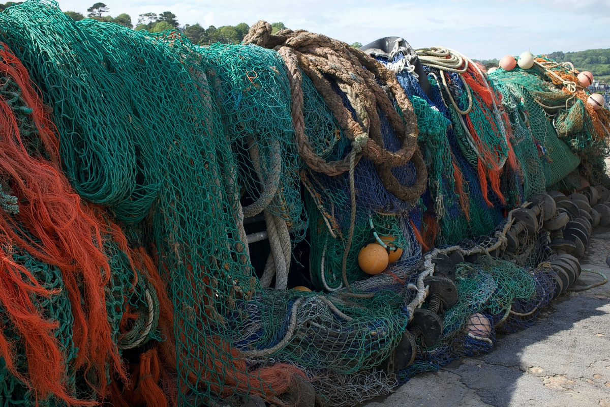 Chair issues new draft before final fisheries subsidies month