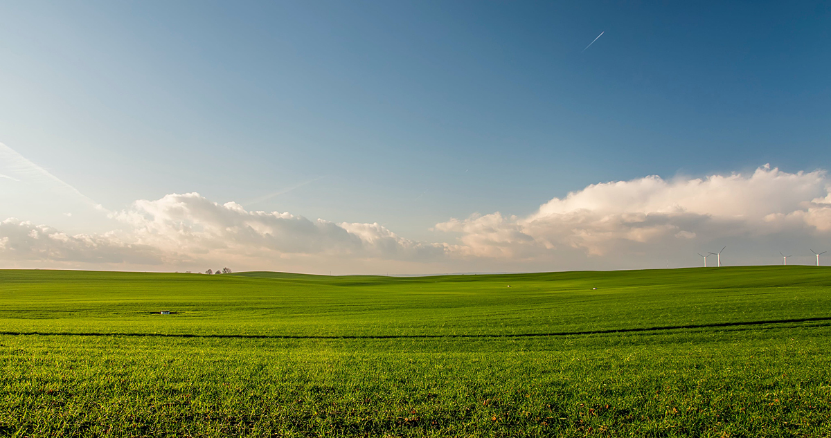 Landscape photo of sunny green fields on low rolling hills with light clouds on the horizon and blue sky above