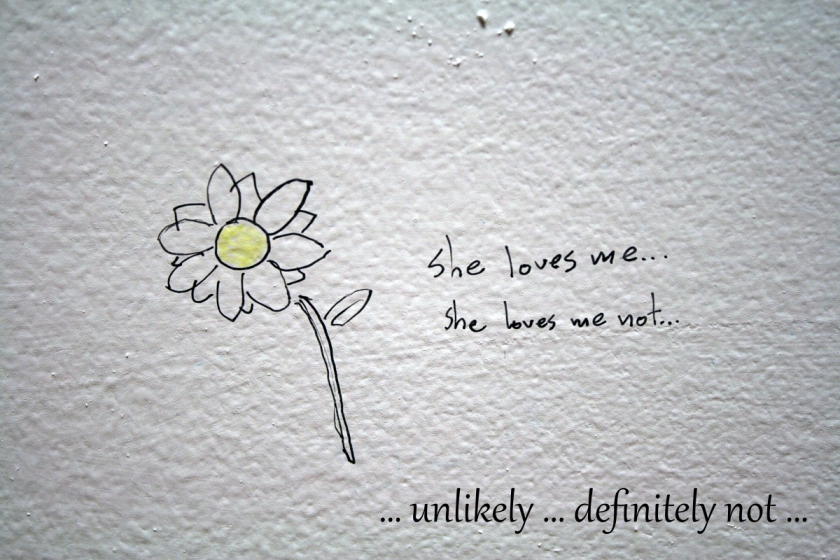 "… unlikely … definitely not …" added to the picture of the black pen sketch of a flower with yellow centre on a rough white surface with the words "she loves me … She loves me not …"