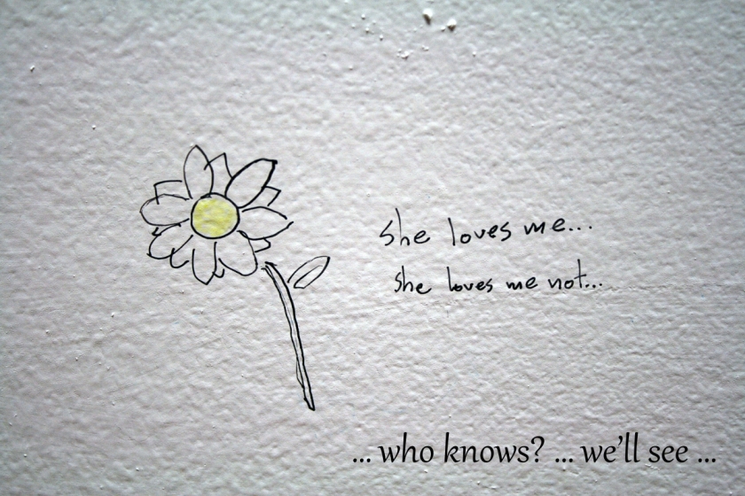 "… who knows? … we’ll see …" added to the picture of the black pen sketch of a flower with yellow centre on a rough white surface with the words "she loves me … She loves me not …"