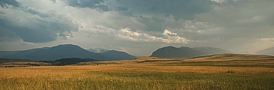 Brown-yellow cereals or grass in the foreground of the landscape with dark mountains in the distance under clouds and rain